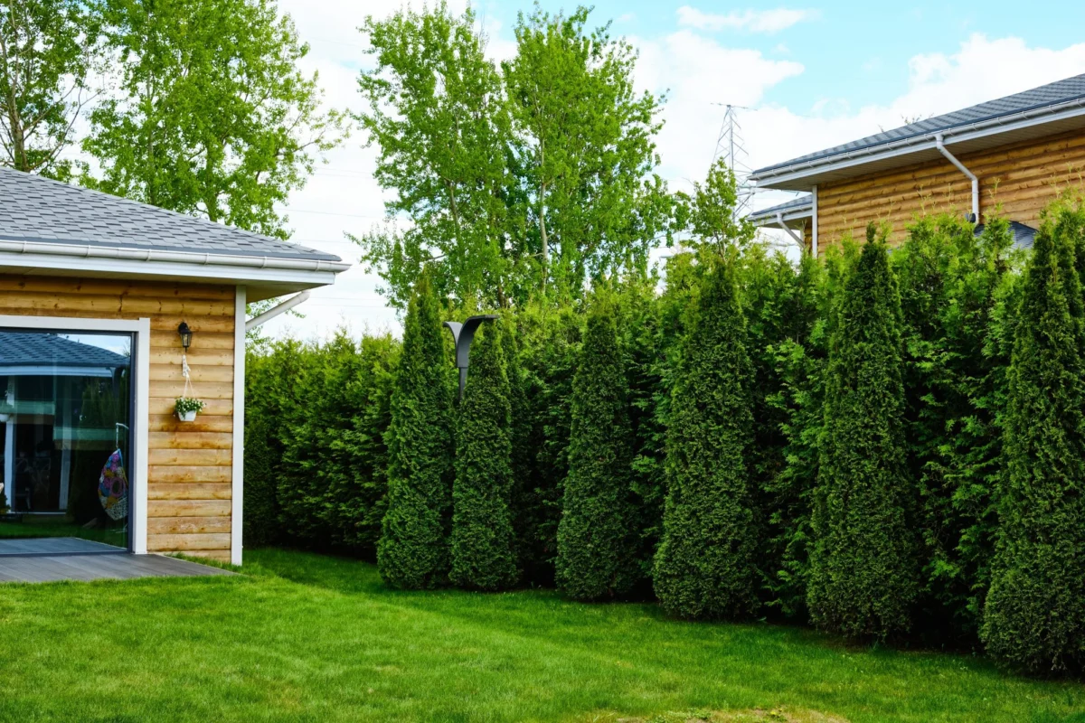 Reclaiming Your Sanctuary: The Definitive Guide to Achieving Backyard Privacy Without Sacrificing Style
