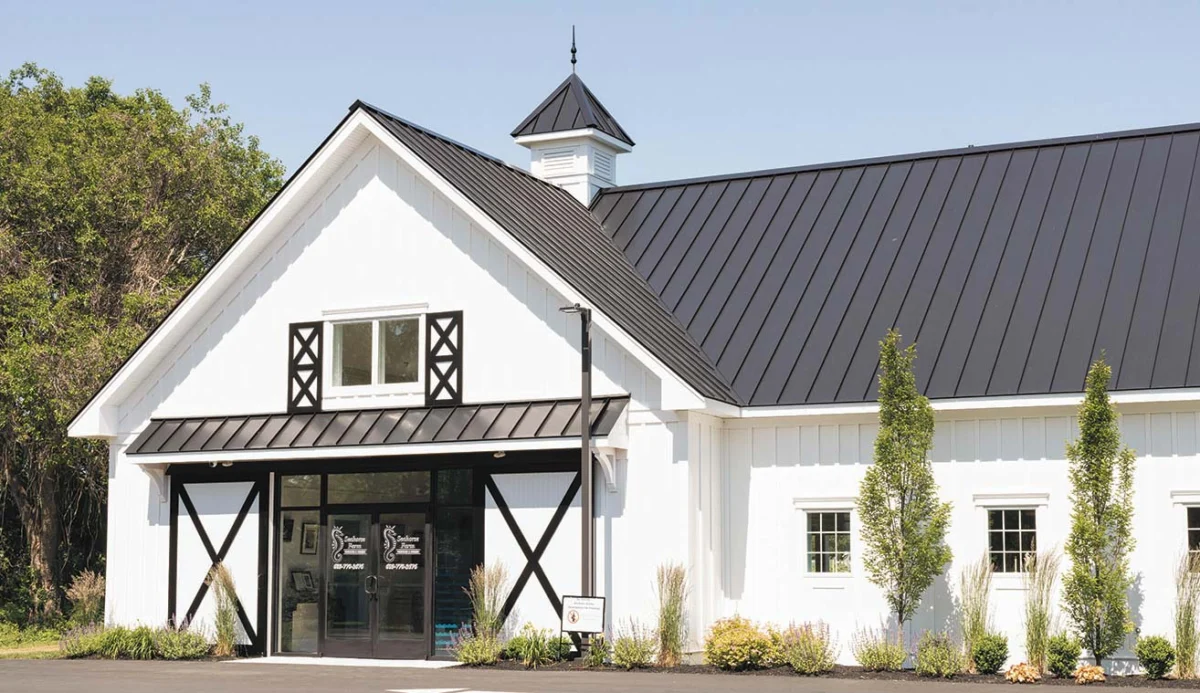 From Surgery to Soil: How Seahorse Farm Winery is Redefining the Cape May Wine Landscape