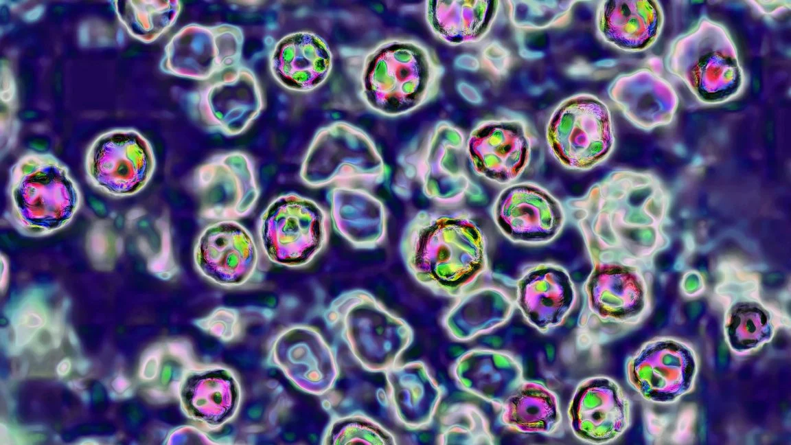 Pennsylvania Measles Crisis Deepens: Sixth Death Reported as Outbreak Surges