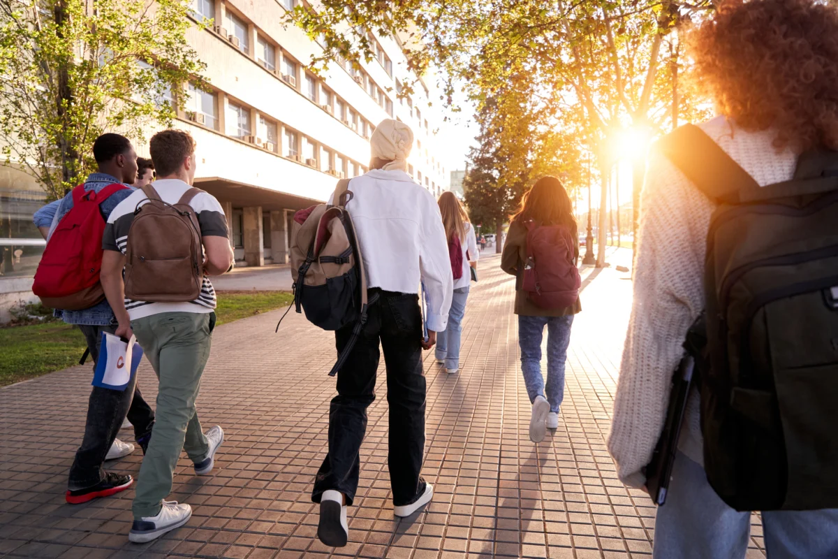 The Automation Paradox: Why Higher Education’s Digital Transformation is Hitting a Wall